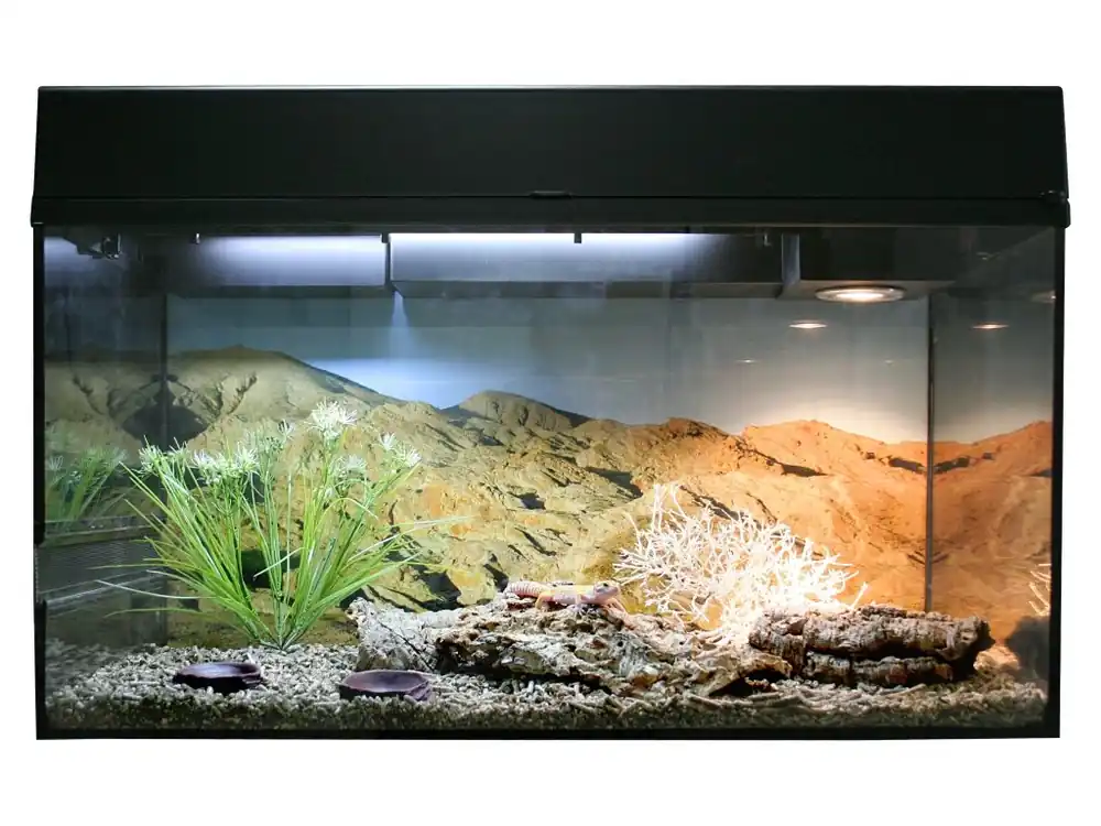 Lucky Reptile Starter Kit Leopard Gecko 80x40x52 cm Nejlepší Cena