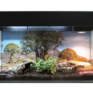 Nakupujte Hned Lucky Reptile Starter Kit Tortoise Gecko 80x40x52 cm
