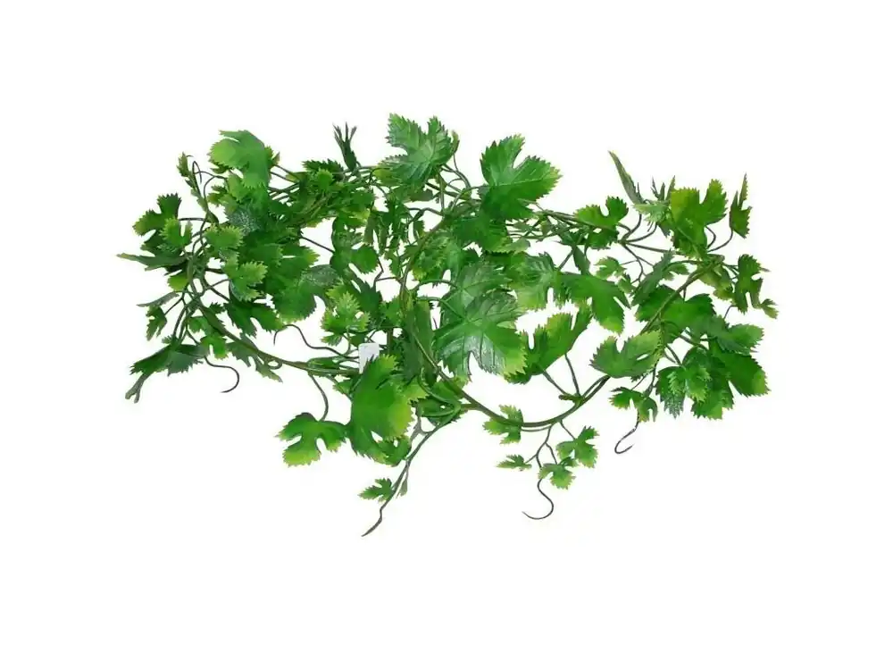 Rychlé Dodání Lucky Reptile Jungle Vine - Gape Leaf Vine ca. 200 cm