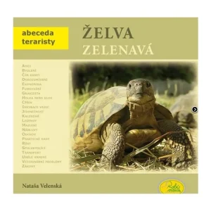 Želva zelenavá - Robimaus Autentický