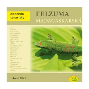 Ověřený Felsuma madagaskarská - Robimaus
