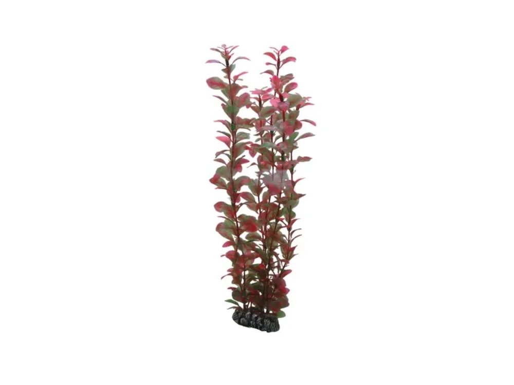 Hobby Ludwigia umělá rostlina 34cm Top Prodej