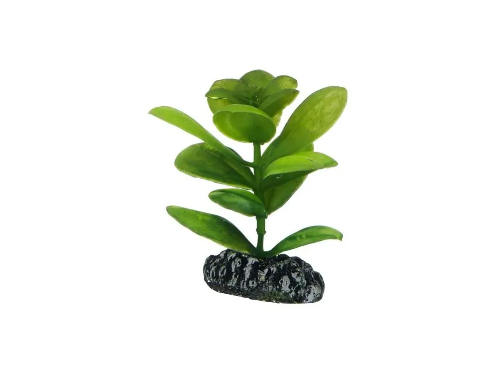 Nejprodávanější Hobby Saururus umělá rostlina 7 cm