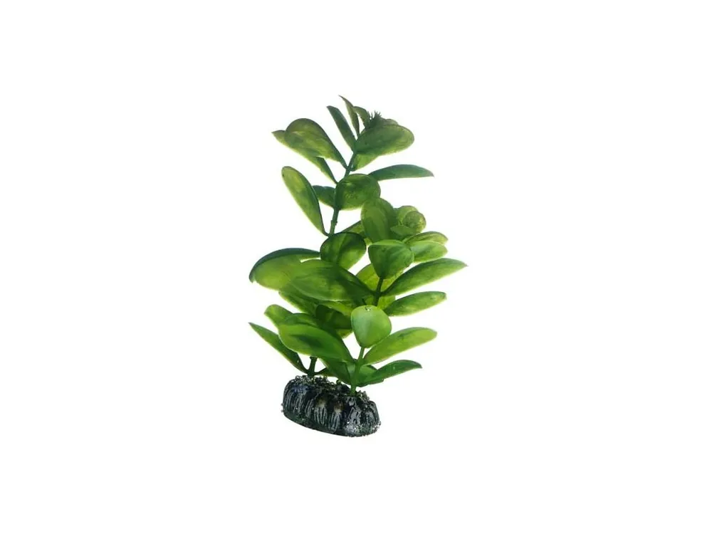 Hobby Saururus umělá rostlina 16 cm Nejlepší Volba