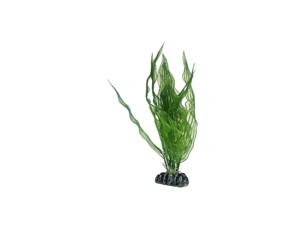 Hobby Aponogeton umělá rostlina 25cm Must-Have