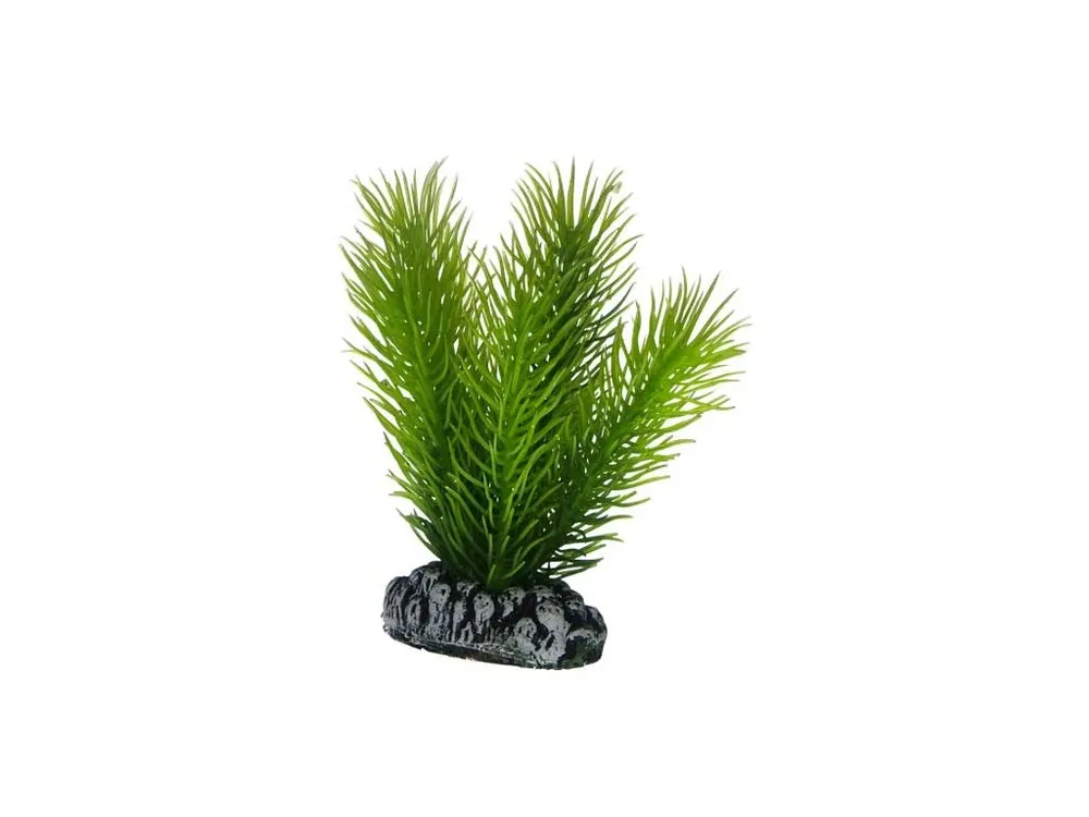 Hit Sezóny Hobby Mayaca umělá rostlina 7cm