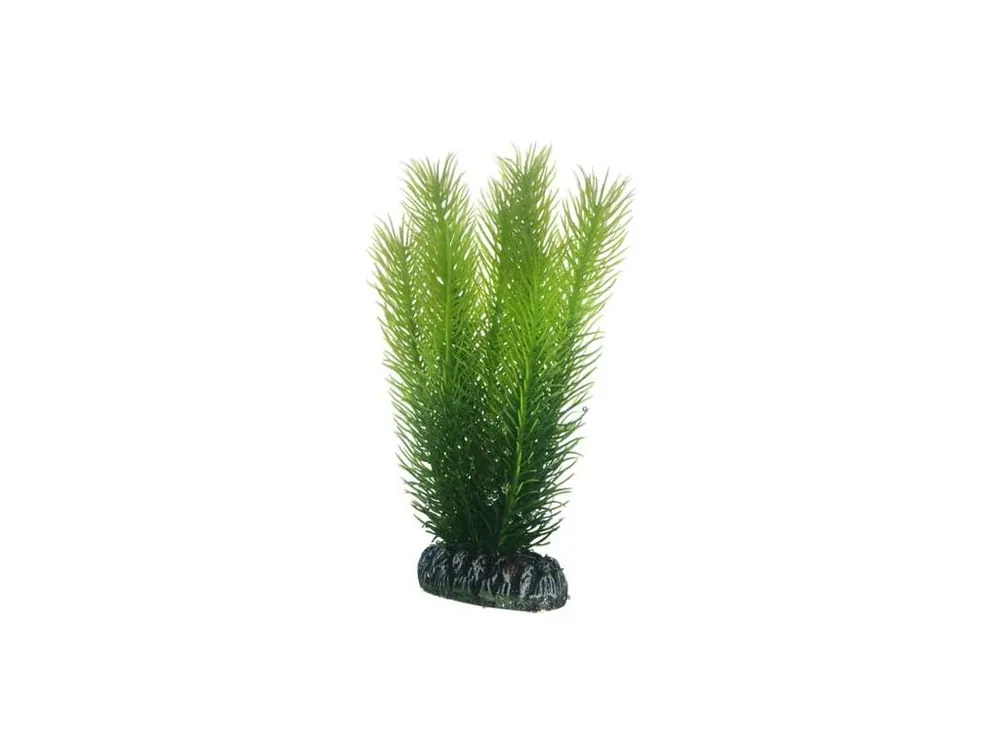 Hobby Mayaca umělá rostlina 16cm Sleva