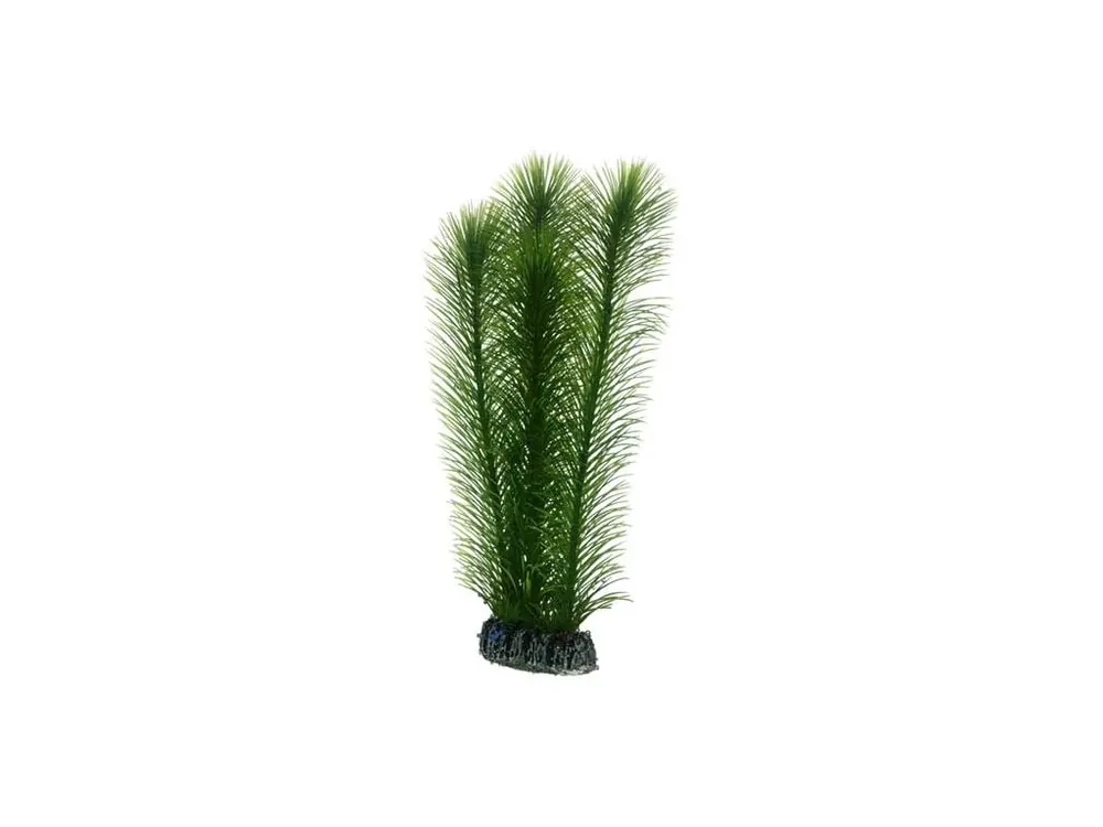 Hobby Mayaca umělá rostlina 25 cm Nejlepší Volba