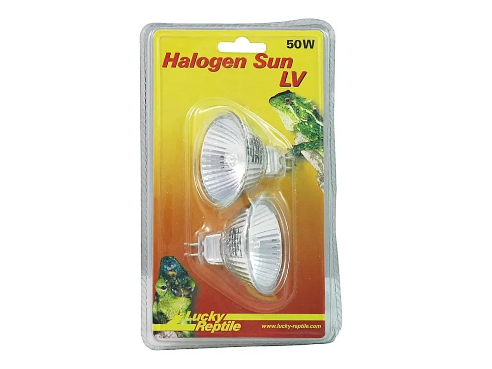 Aktuální Lucky Reptile Žárovka Halogen Sun LV 50W - Double Pack