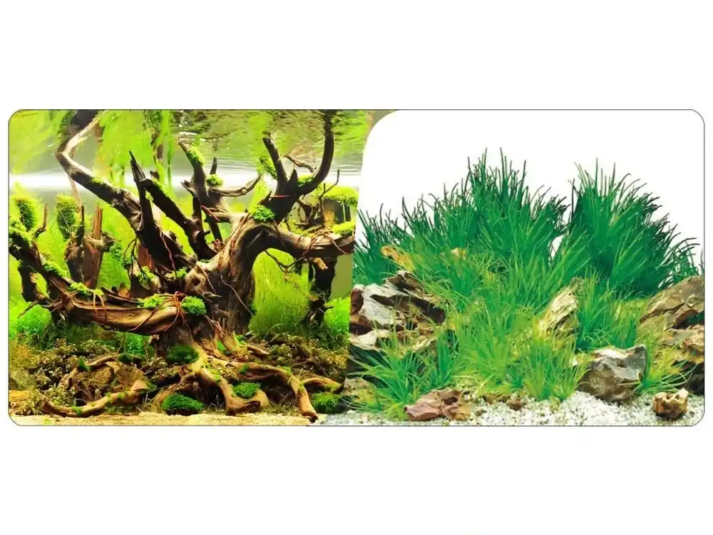 Nejlepší Volba Fototapeta 6S, 60 x 30 cm