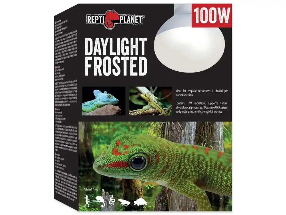 Nakupujte Hned Žárovka REPTI PLANET Daylight Frosted (100W)