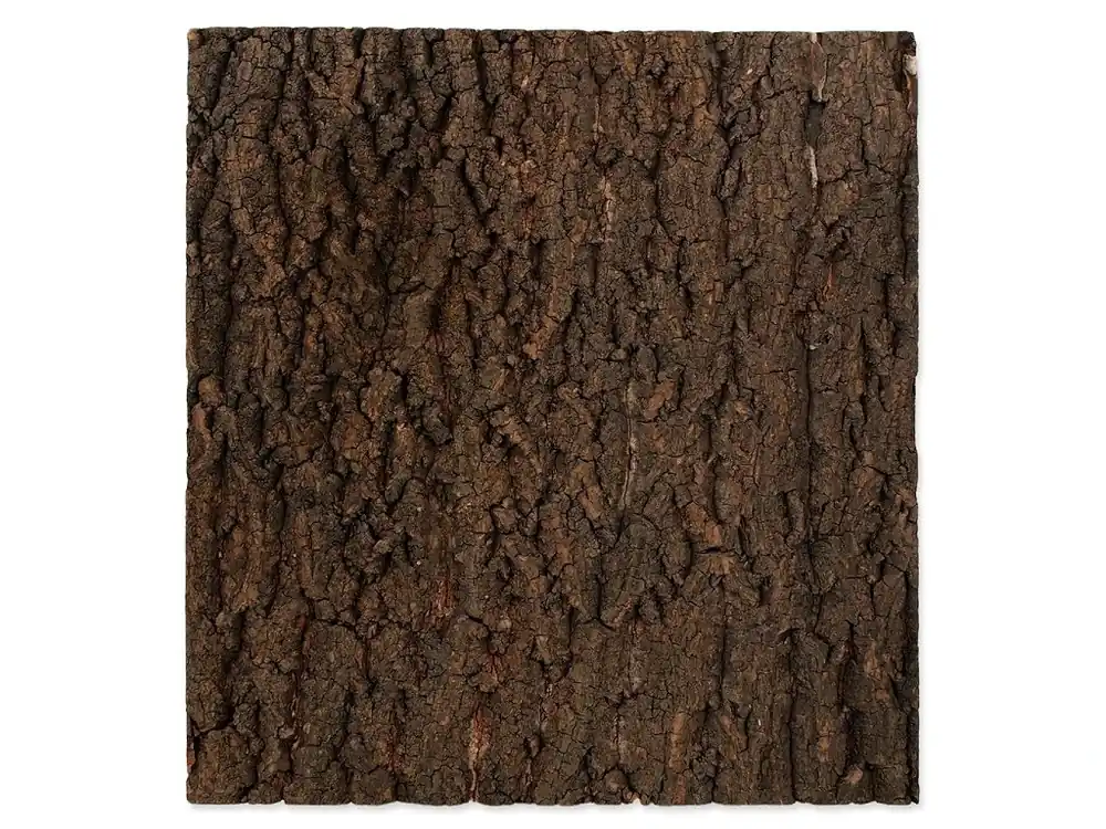 Pozadí REPTI PLANET korek přírodní 43,5 x 41 x 2 cm (1ks) Nízká Cena