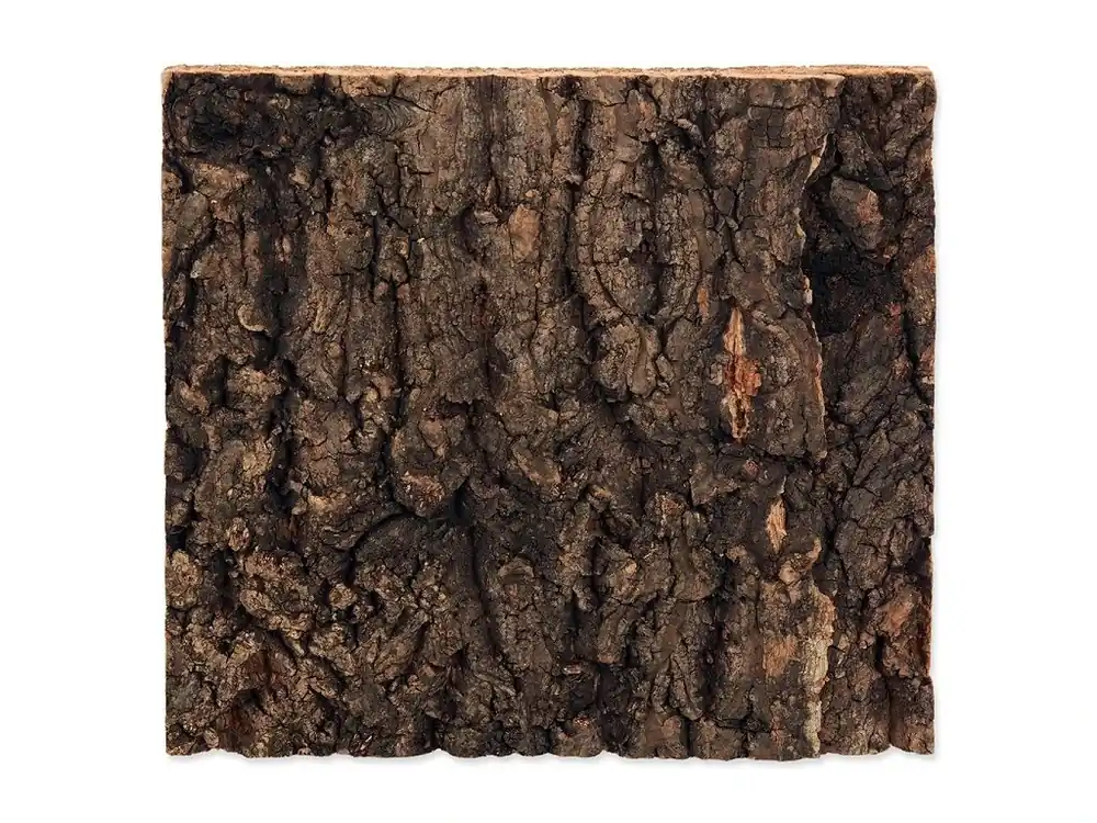 Cenová Bomba Pozadí REPTI PLANET korek přírodní 19 x 17,3 x 2 cm (1ks)