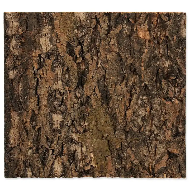 Pozadí REPTI PLANET korek přírodní 29 x 27,3 x 2 cm (1ks) Vrácení Zdarma