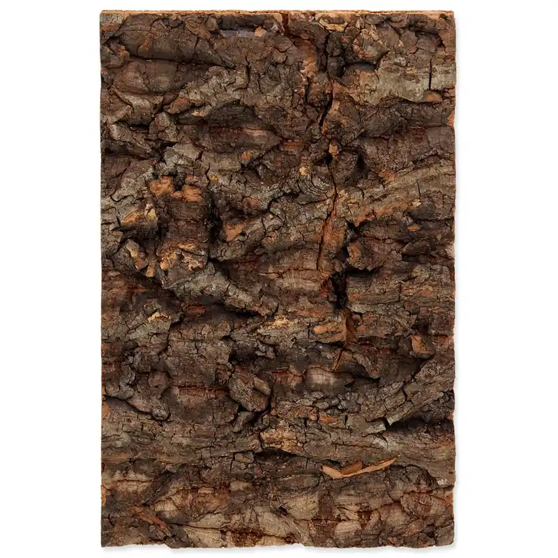 Pozadí REPTI PLANET korek přírodní 19 x 12,3 x 2 cm (1ks) Nejlepší Volba