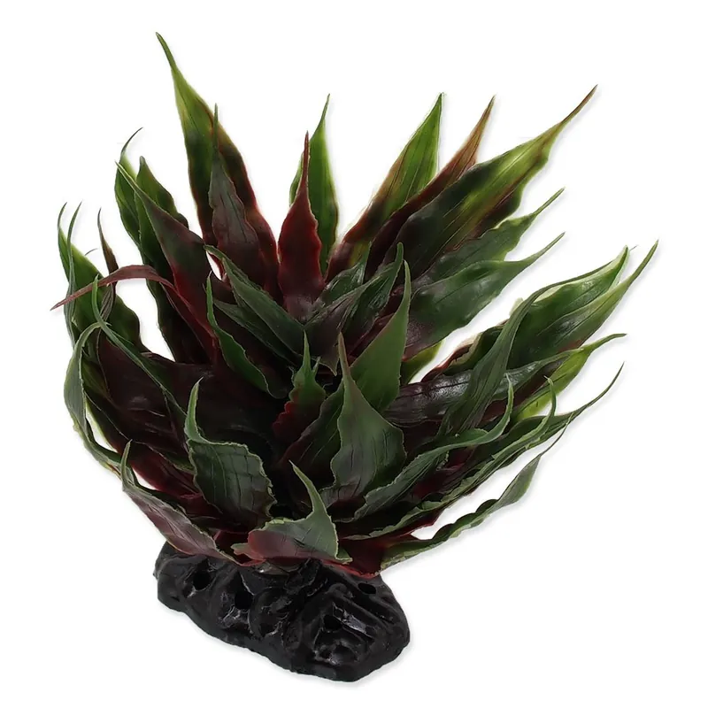 Rostlina REPTI PLANET sukulent Agave zelená 18 cm () Finální Výprodej
