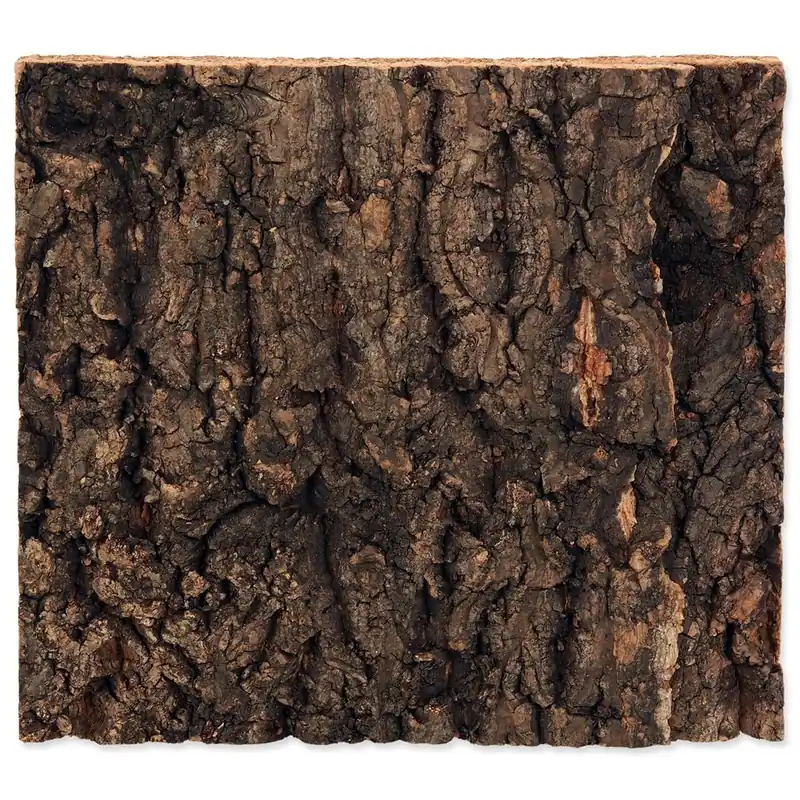 Nejprodávanější Pozadí REPTI PLANET korek přírodní 19 x 17,3 x 2 cm