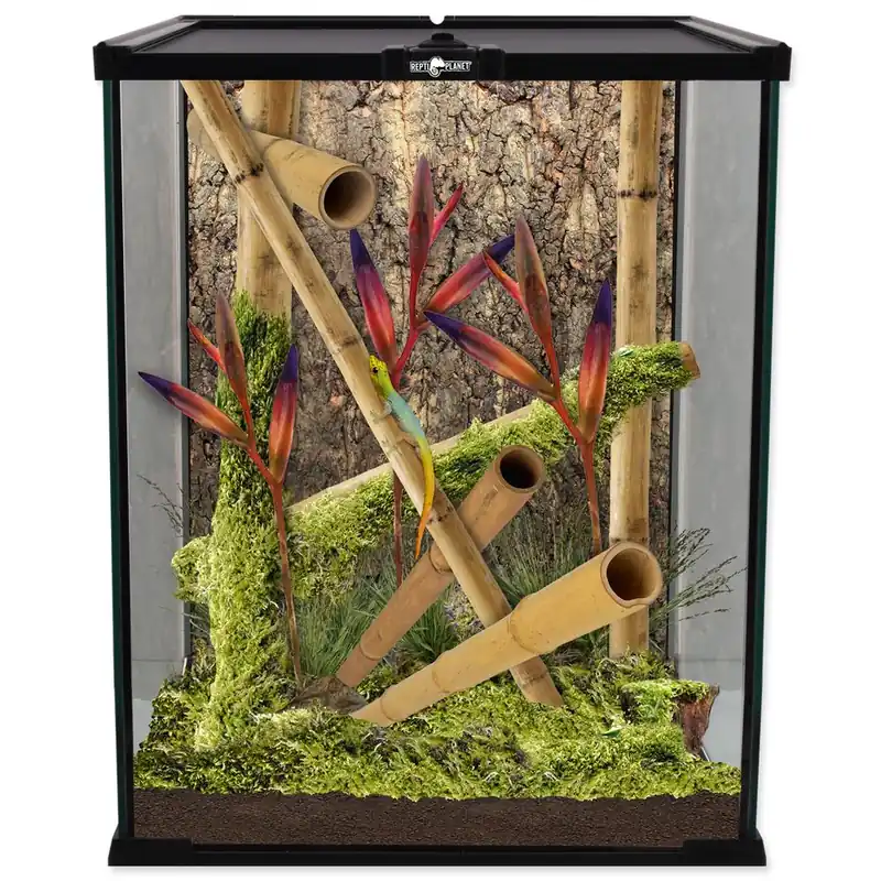 Must-Have Terárium REPTI PLANET skleněné 20 x 20 x 30 cm