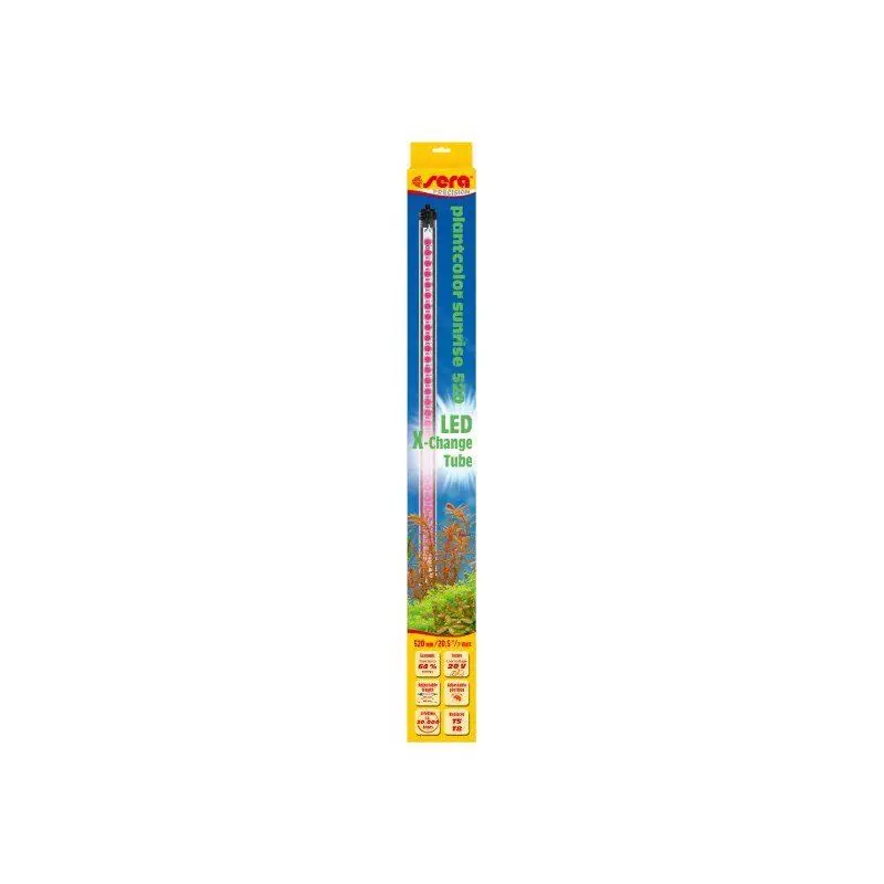 Poslední Šance Sera LED daylight sunrise 520