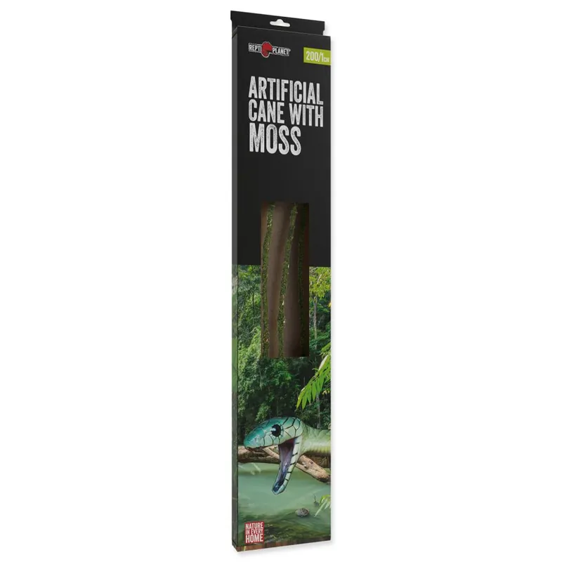 Dekorace liána REPTI PLANET s mechem délka 200 cm 1cm Akční Nabídka