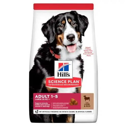 Hill‘s Science Plan Canine Adult Large Breed Lamb & Rice 14 kg Kup Teď