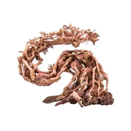 Ověřený Kořen Dragon Bonsai S
