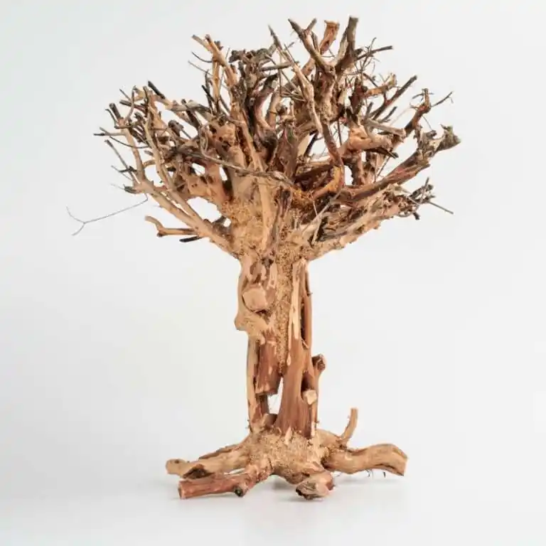 Vysoce Kvalitní Kořen Mammoth Bonsai M