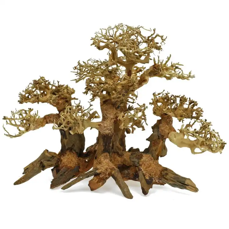 Akční Cena Kořen WALD Bonsai S