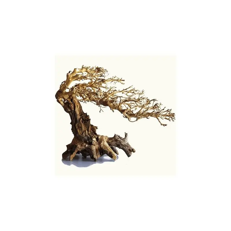 Ihned K Objednání Kořen Wave Bonsai L