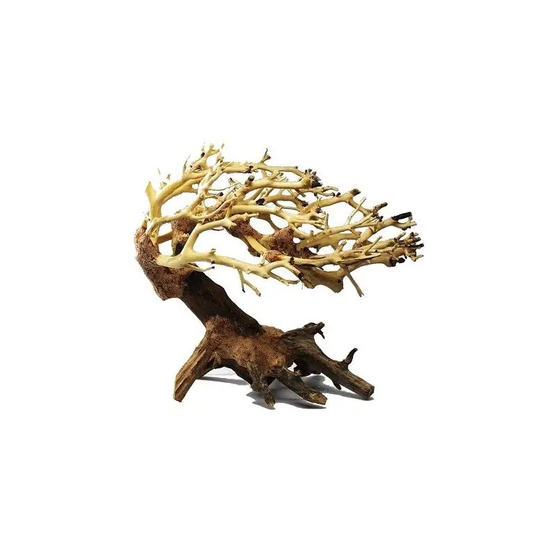 Vrácení Zdarma Kořen Wave Bonsai S
