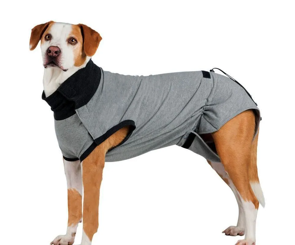Oblíbený Ochranný obleček na trup po operaci L-XL 62 cm šedý
