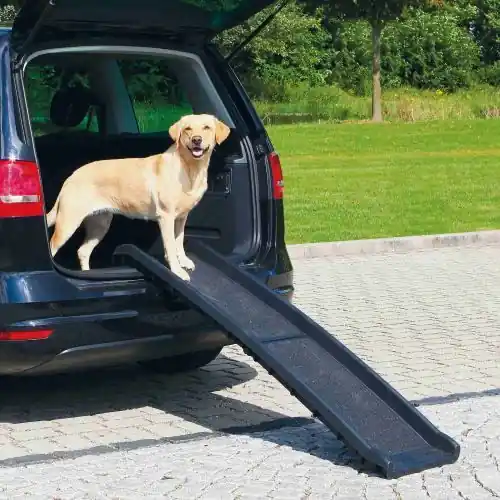 PET RAMP - protiskluzová rampa max. zátěž 90 kg, 40 x 156 cm Odeslání Ihned