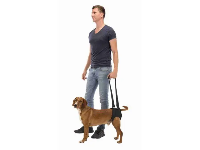 Podpůrná pomůcka k chůzi L-XL 75-85 cm černá Výhodná Nabídka