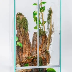 Tovární Cena Terarium skleněné 60 x 45 x 90 výška