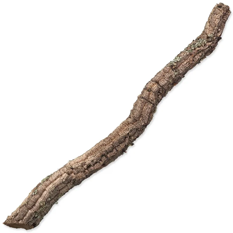 Dekorace Repti Planet Korková větev XL 90cm-120cm Nová Kolekce
