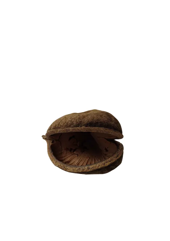 Sleva CeramicNature Buddha pods XL