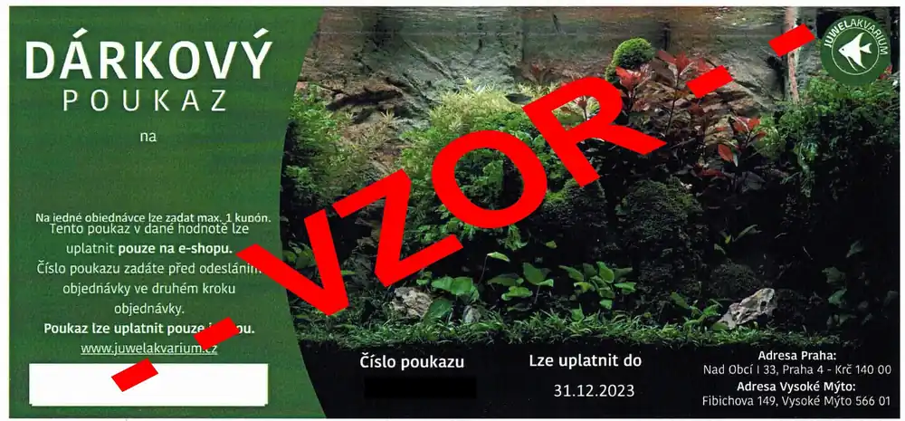 Dárkový poukaz v hodnotě 5000kč Omezená Nabídka