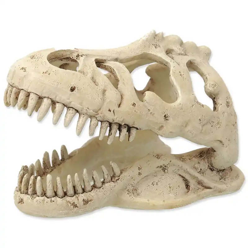 Nejprodávanější Dekorace T-rex lebka