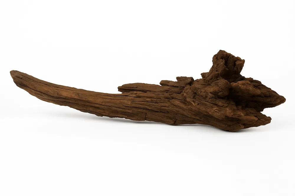 Dekorace kořen Mangrove Cenová Bomba