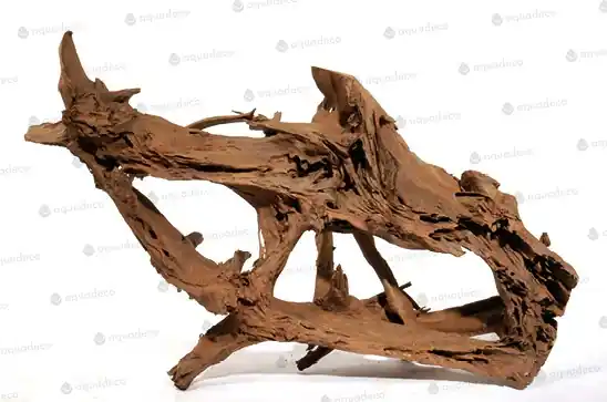 Kořen Mangrove XXXL 180 cm Speciální Cena