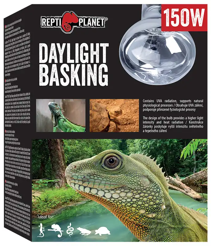 Cenová Bomba Žárovka REPTI PLANET Daylight Basking Spot 150W