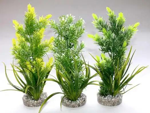 Rostlina Aquaplant medium 22 cm Kup Teď