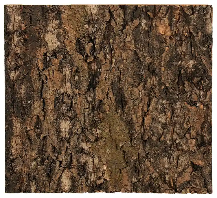 Pozadí REPTI PLANET korek přírodní 29 x 27,3 x 2 cm Vysoce Kvalitní