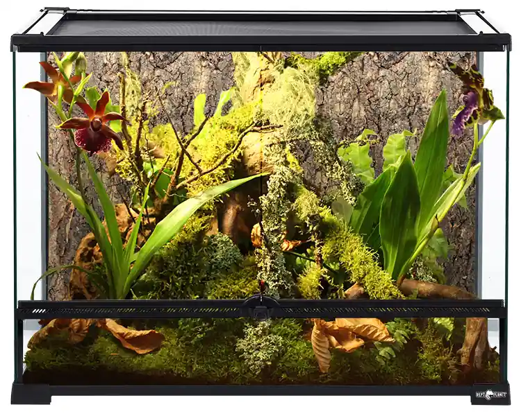 Terárium REPTI PLANET 60 x 45 x 45 cm Must-Have