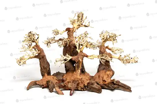 Forest bonsai M Sezónní Sleva