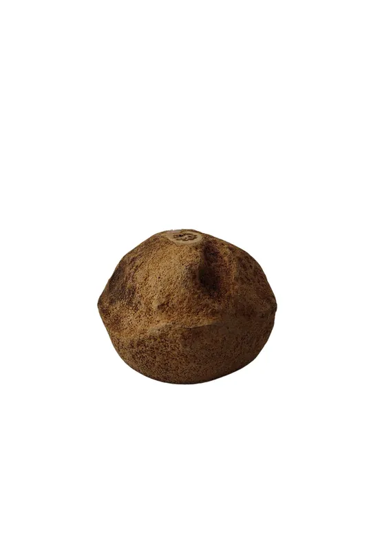 Jen Po Omezenou Doba CeramicNature Sapucala pods XL