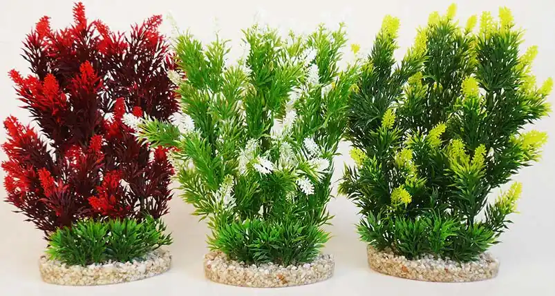 Rostlina Hedge 25 cm Levný