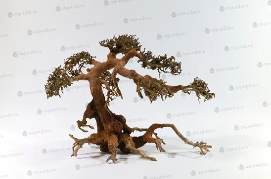 Kup Teď Aqua bonsai L