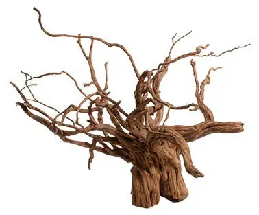 Red moor wood - kořen velký Jen Po Omezenou Doba