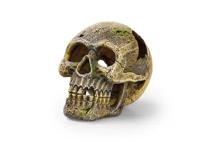 Eden Lebka Akční Nabídka